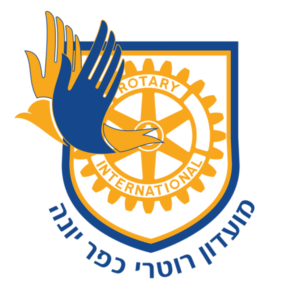 שם האמן: